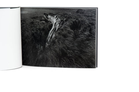 Sand Wan Collection Bundle