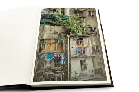 Wild Concrete 《石林獨秀》