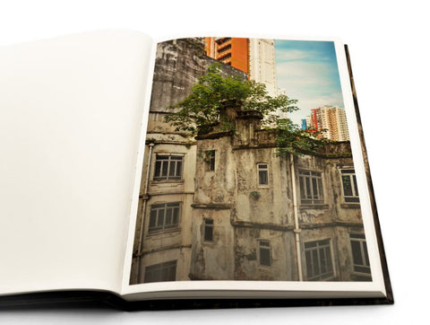 Wild Concrete 《石林獨秀》