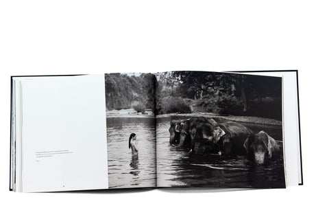 Love is Wild (Trade Edition)