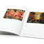 Form, Colour, Line: Contemporary Hong Kong Painting (English)